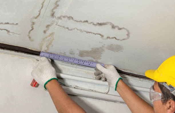 Reliable Sewage Cleanup contractor in Ypsilanti, ND by Local Water Damage Repair